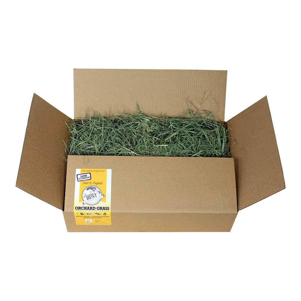 Grandpas Best Premium Orchard Grass Hay for Rabbits, Guinea Pigs, Chinchillas, Hamsters & Gerbils, 20lb Loose Boxed, Brown