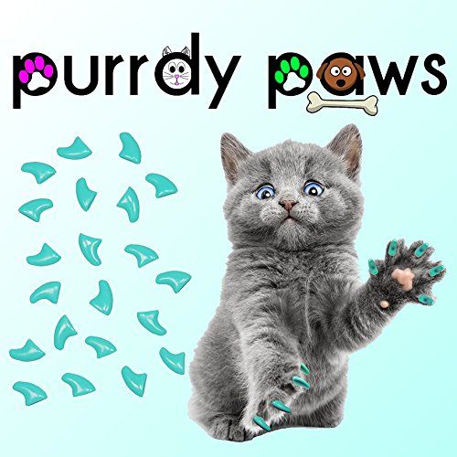 Purrdy Paws 40 Pack Soft Nail Caps For Cat Claws Turquoise Kitten