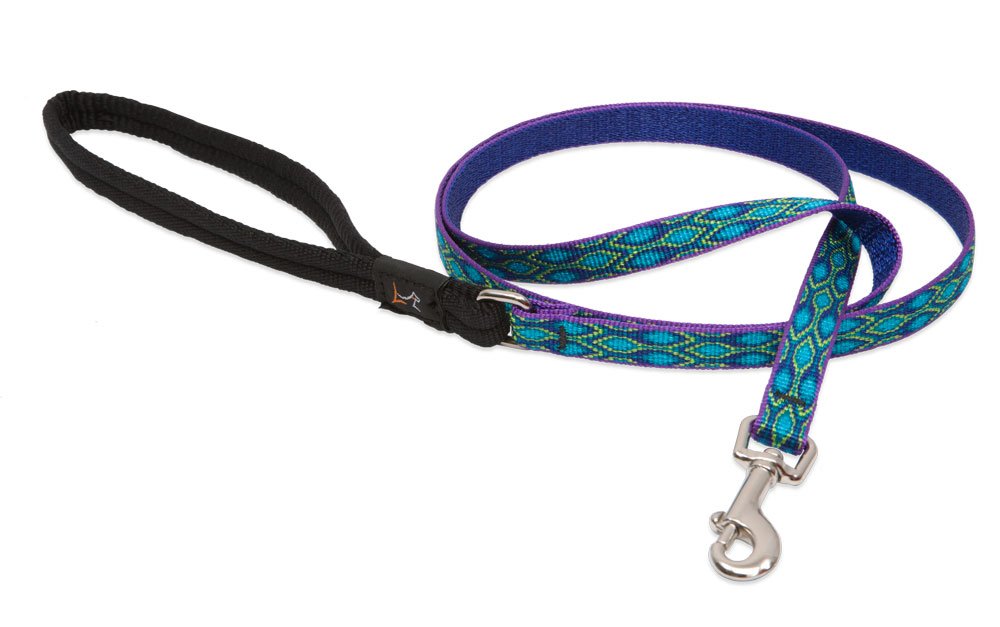 LupinePet Originals 1/2 Rain Song 6-foot Padded Handle Leash for Small Pets