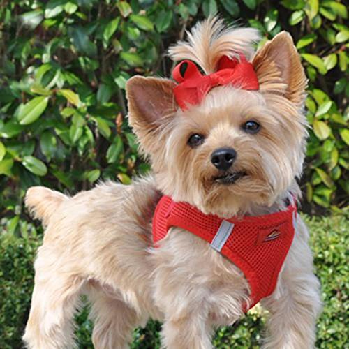 American River Solid Ultra Choke Free Dog Harness  Red