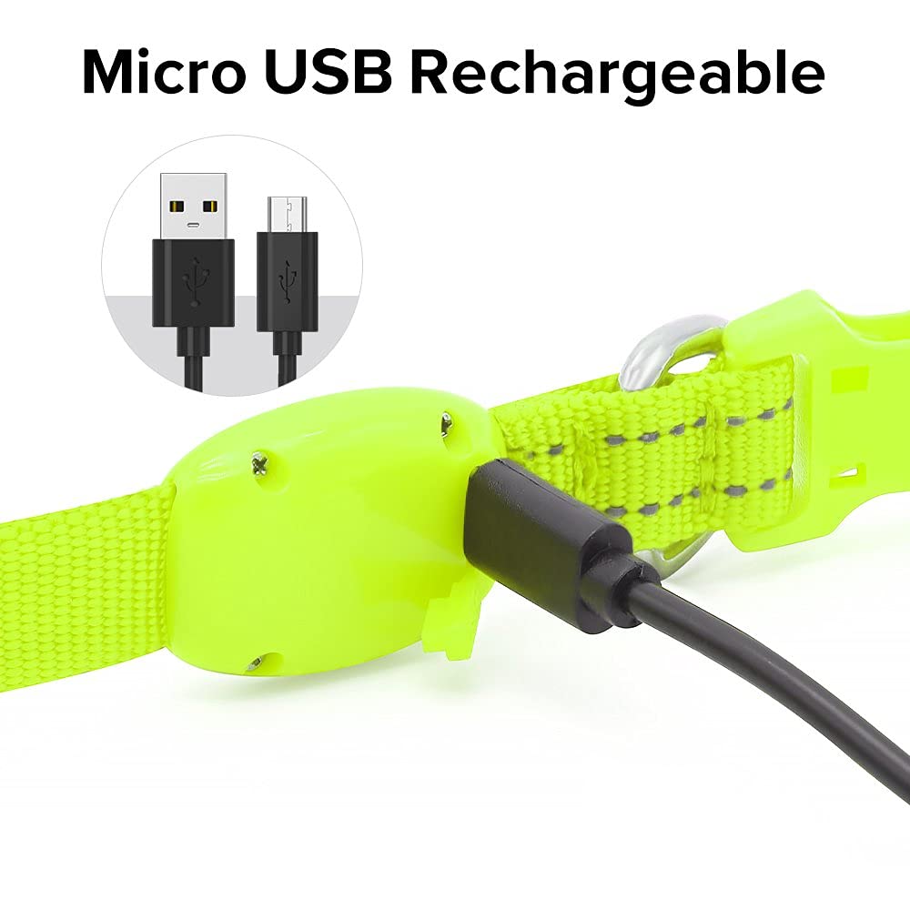 Bseen Adjustable Led Dog & Cat Collar - Rechargeable, Small Breeds, Green, 8.5-11.8 Inches, Nylon, Lightweight, Reflective, 2 Fl