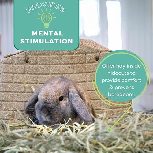 Oxbow Animal Health Western Timothy Hay - All Natural Hay for Rabbits, Guinea Pigs, Chinchillas, Hamsters & Gerbils - 15 oz.
