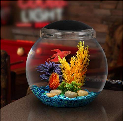 Koller Products 1-Gallon Globe Fish Bowl, Impact- Resistant Plastic Aquarium Starter Kits With Led Lighting, Buit-In Timer, Crystal-Clear Clarity, Desktop Fish Tank For Home Décor