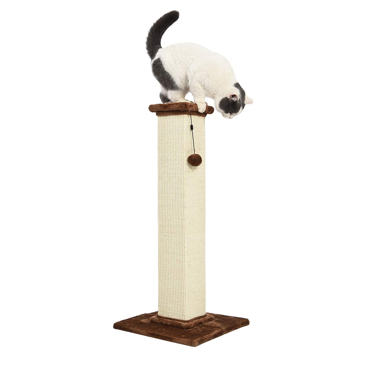 Amazon Basics - Indoor, Tall Cat & Kittens Scratching Post, Scratcher With Sisal Rope, Jute Fiber, Brown Carpet, Large, 15.75' L X 15.7' W X 35.43' H