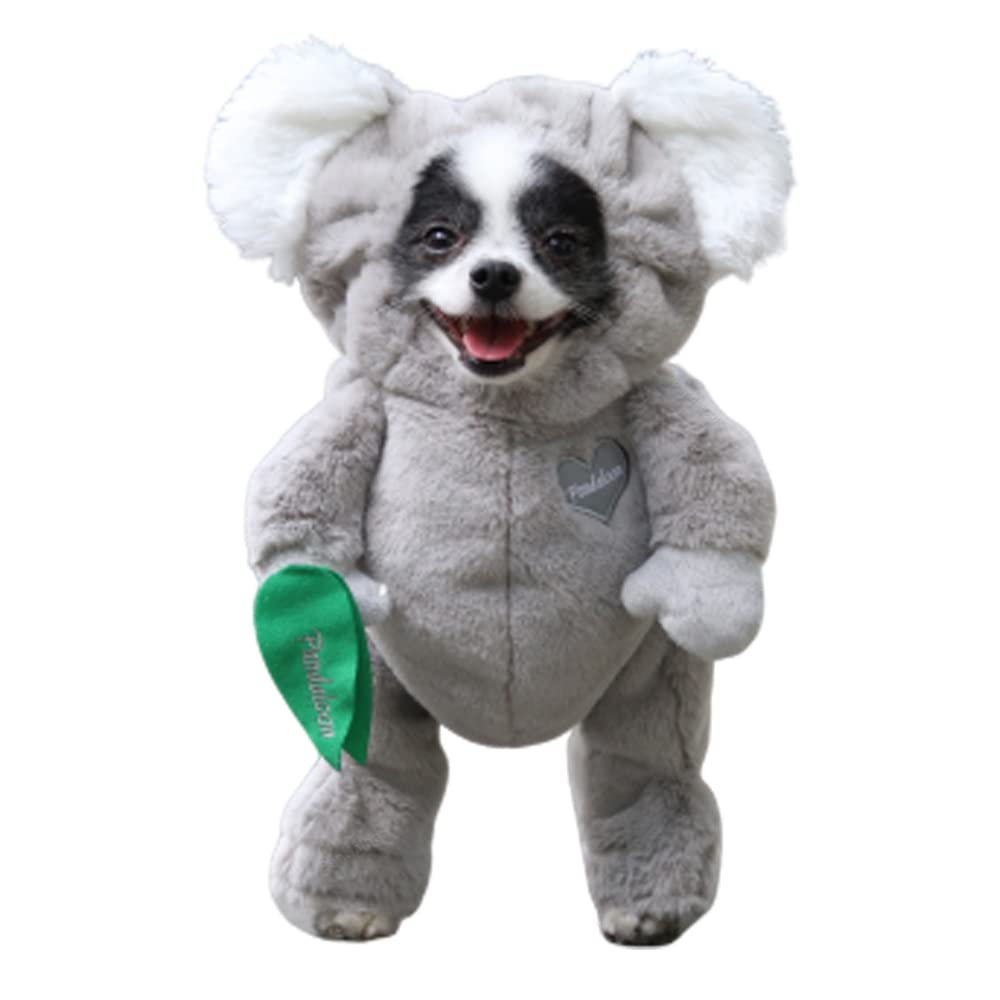 Pandaloon Pet Costume - As Seen On Shark Tank - Patented - Funny Costume With Arms For Small And Medium Dogs And Cats (Koala, Size 1(13-14 In Height At Top Of Head,Girth<16 In))