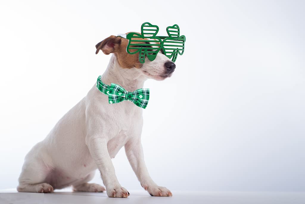 Lionet Paws St Patricks Day Dog Collar With Bowtie, Irish Green Shamrock Clover Bowtie Collar With Metal Buckle For Dogs Girl Bo