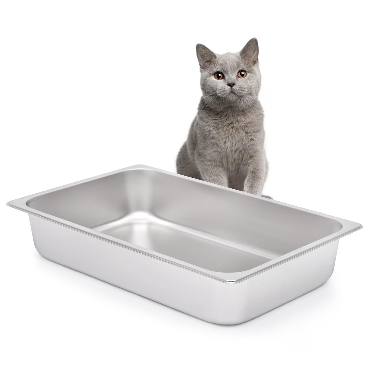 Kichwit Stainless Steel Cat Litter Box For Elderly Cats, Arthritic Cats, Small Kittens, Litter Pan For Hamsters Rabbits, Non Stick Smooth Surface, 21.1' L X 13.1' W X 4' H