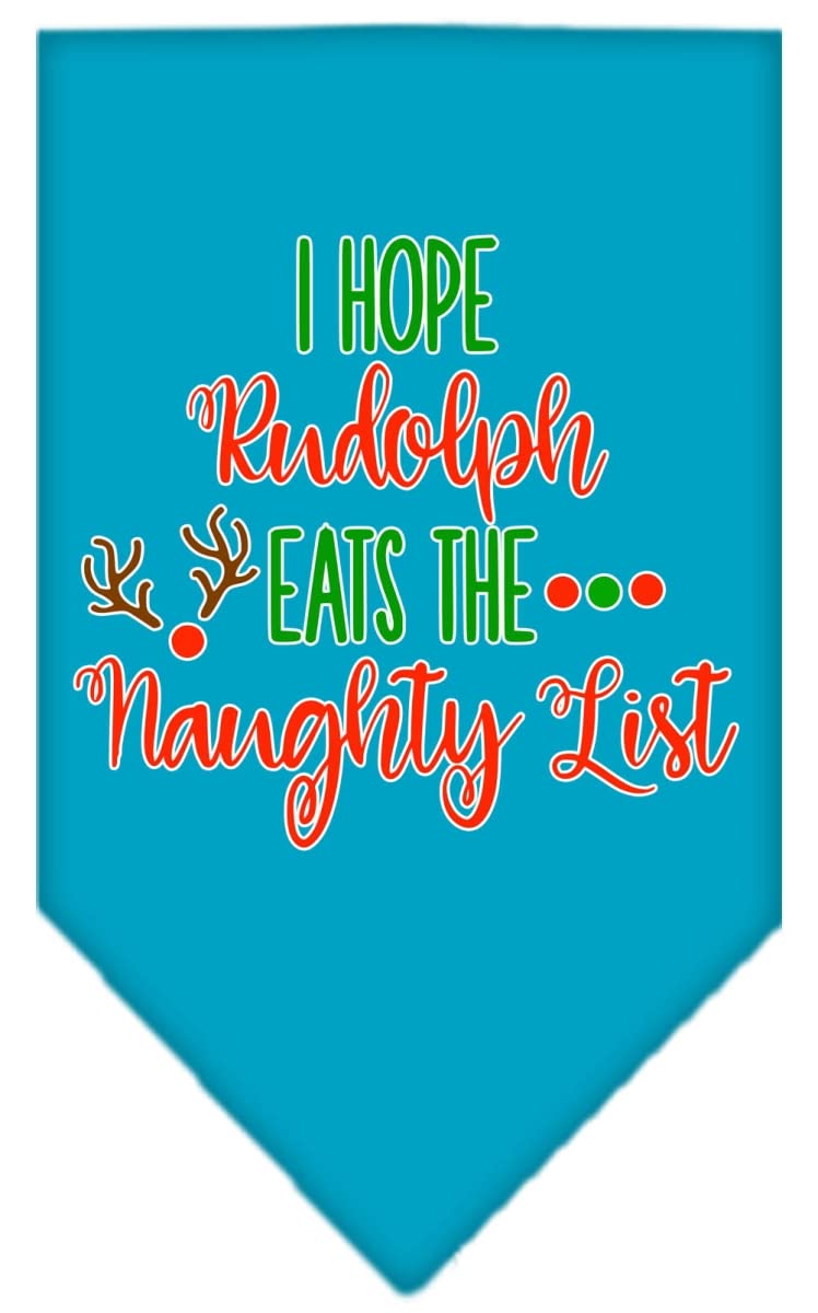 Christmas Pet and Dog Bandana Screen Printed, &quot;Hope Rudolph Eats The Naughty List&quot; Turquoise Small