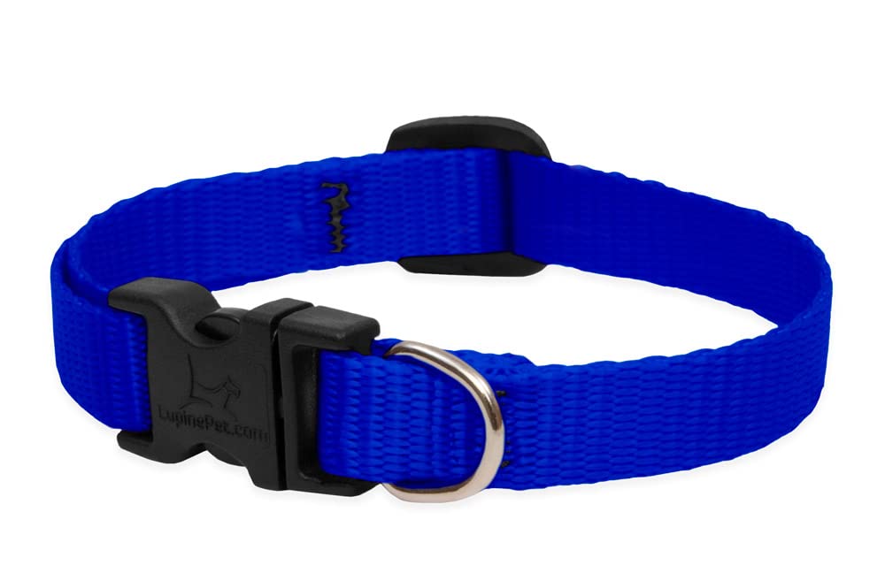 LupinePet Basics 1/2'' Blue 6-9'' Adjustable Collar for Extra Small Dogs