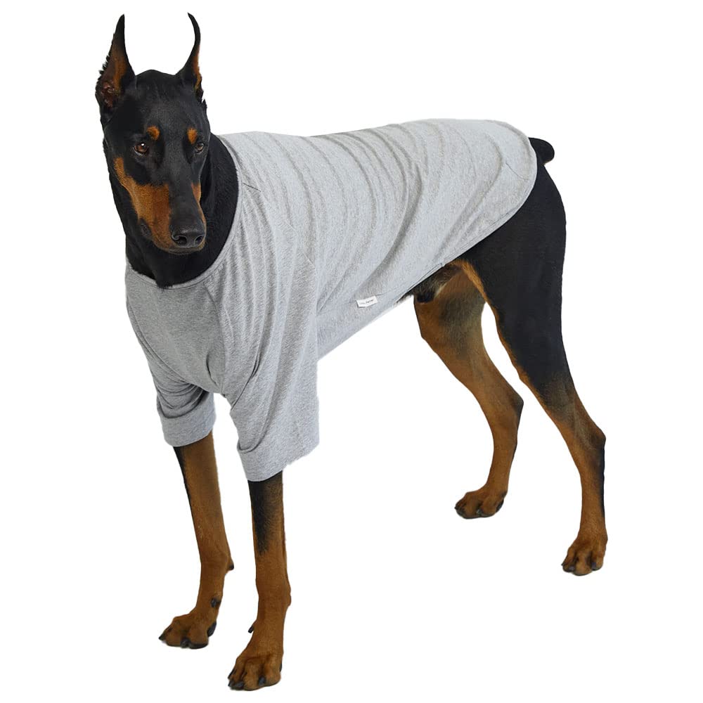 Lucky Petter Dog Shirt For Small Dogs Plain T-Shirts Soft Breathable Dog Cotton Shirt Pet Clothes (4X-Large, Gray)