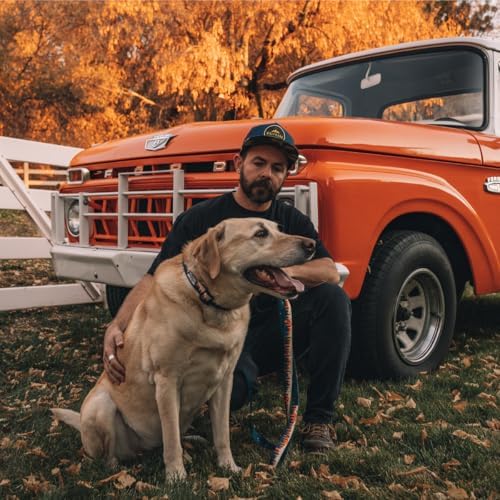 Wolfgang Heavy Duty Martingale Dog Collar With Quick Release Nylon Buckle For Walking & Training, Overland Print, Medium