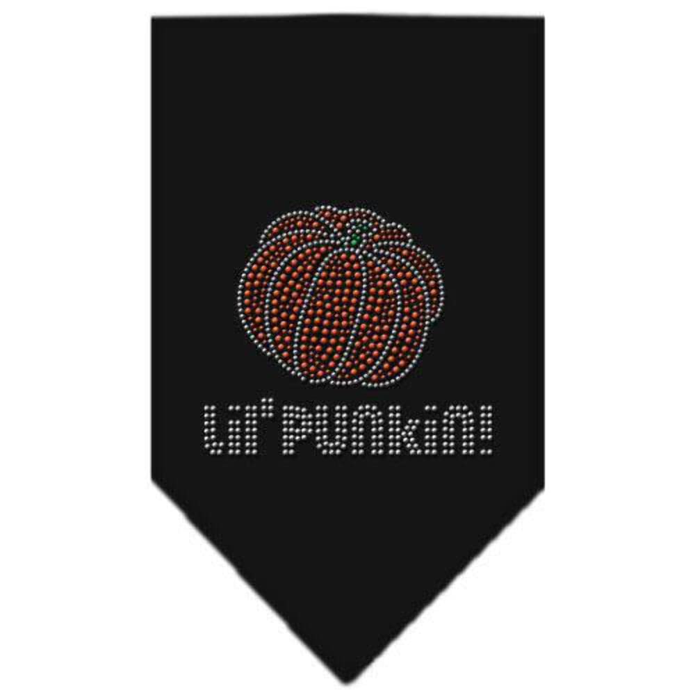 Halloween Pet and Dog Bandana Rhinestone, Lil Punkin Cocoa Large