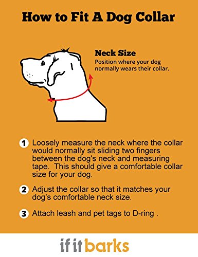 If It Barks Personalized 1 Striped Dog Collar - Engraved Name - Custom Size, Shortcake