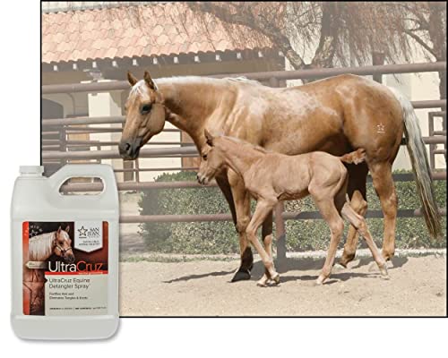 Ultracruz - Sc-395300 Equine Detangler Spray For Horses, 1 Gallon