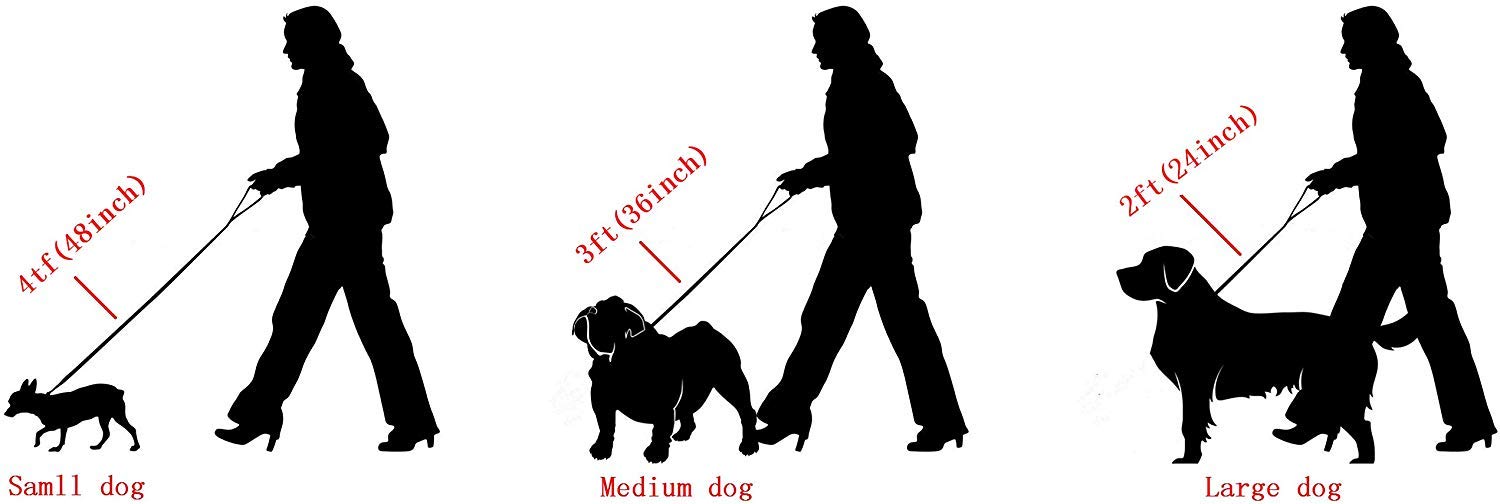Aiyidi Heavy Duty Stainless Steel Dog Chain Leash, 3FT/4FT/5FT Cuban Link Metal Dog Leashes, for Large Medium Small Dogs, with G