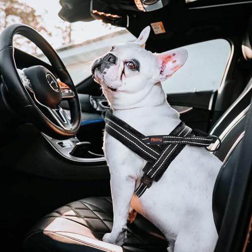 Didog Soft Flannel Padded Dog Vest Harness, Escape Proof/Quick Fit Reflective Dog Strap Harness,Easy For Training Walking,Black M Size