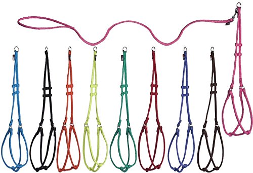 Dogline Soft And Padded Comfort Microfiber Round Step-In Harness And Leash For Dogs M (W1/3 X L36 X G18-26), Green