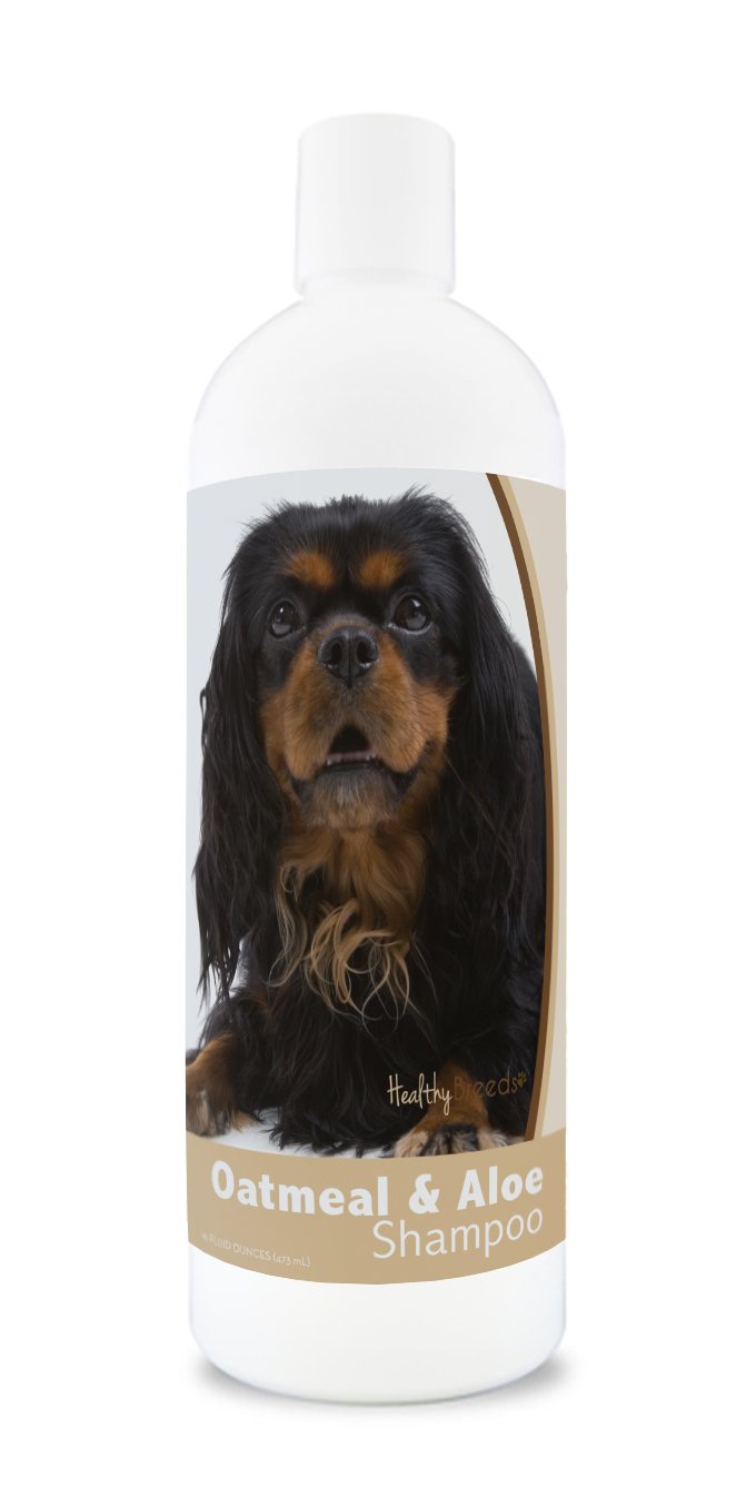 Healthy Breeds English Toy Spaniel Oatmeal Shampoo With Aloe 16 Oz