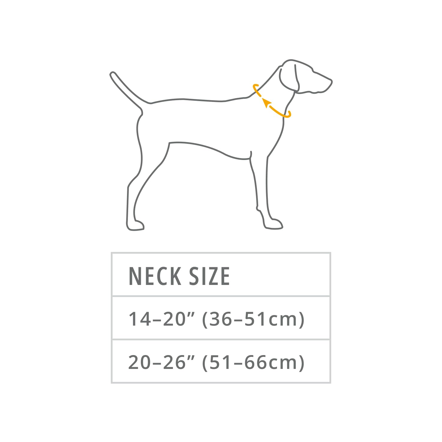 Ruffwear, Knot-A-Collar, Climbing Rope Dog Collar For Everyday Use, Blue Pool, 20''-26''