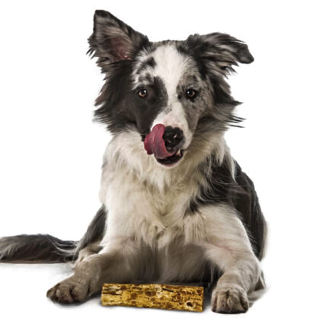 Fieldcrest Farms Nothing to Hide Natural Rawhide Alternative 5 Rolls for Dogs - 3 Pack (6 Chews) Premium Grade Easily Digestib