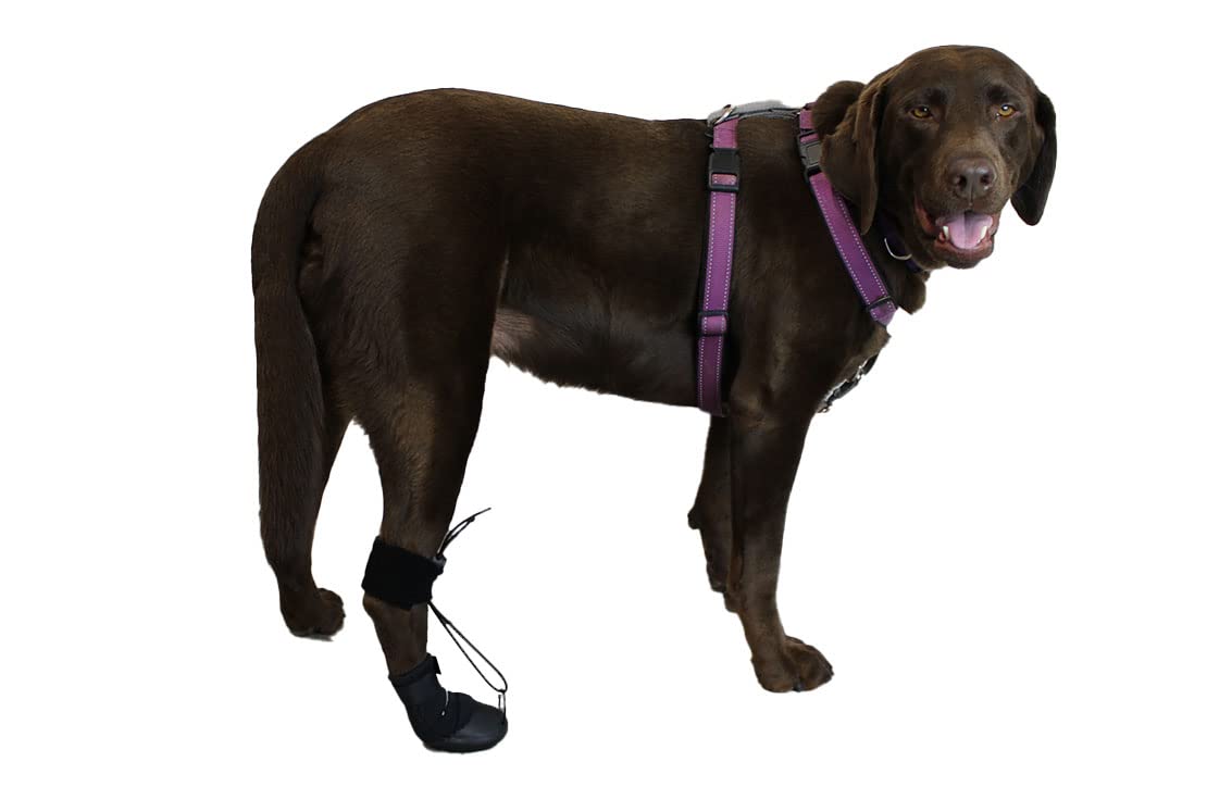 Walkabout Toe'Sup No Knuckling Boot Brace For Dogs Dragging Paws | Corrective Dog Shoes To Safely Lift Toes
