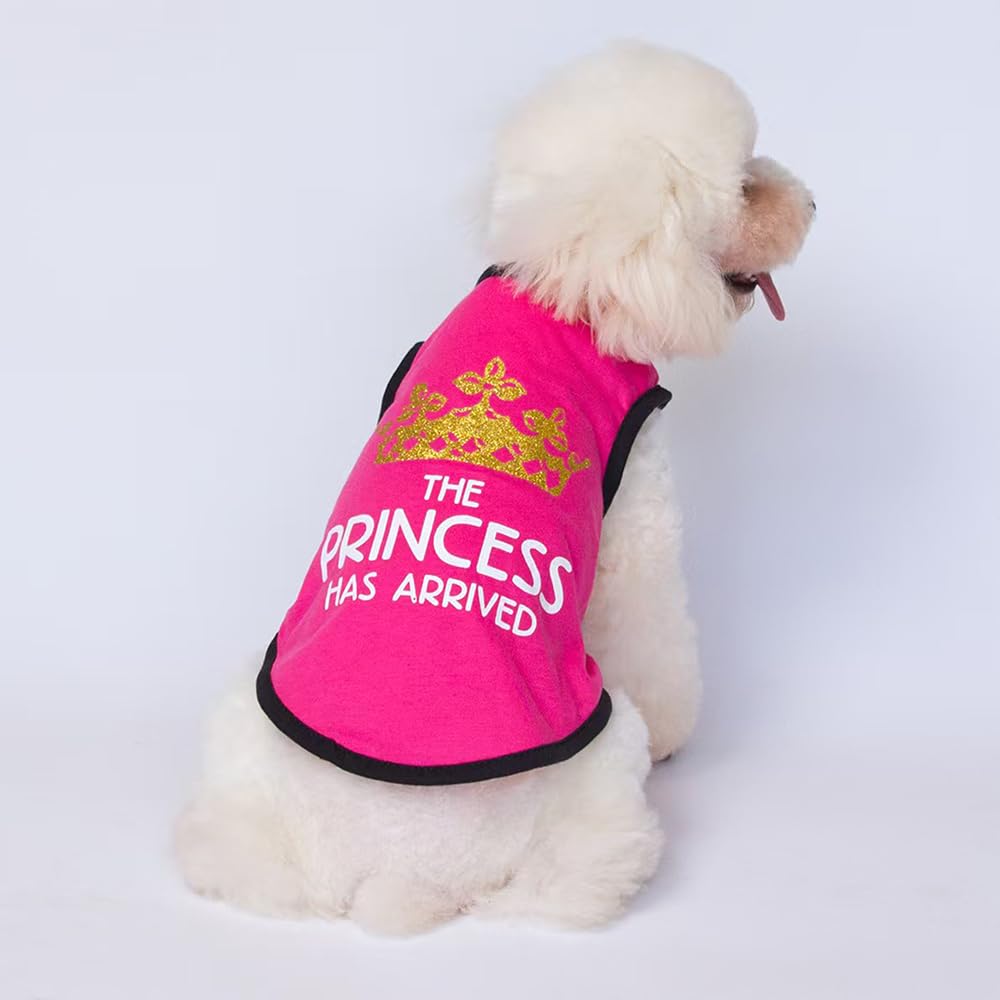 2Pcs Summer Fun Tshirt For Small Dogs Cats - Lightweight Breathable Anti-Fade Soft Non-Irritating Pet Shirts With Flash Crown De