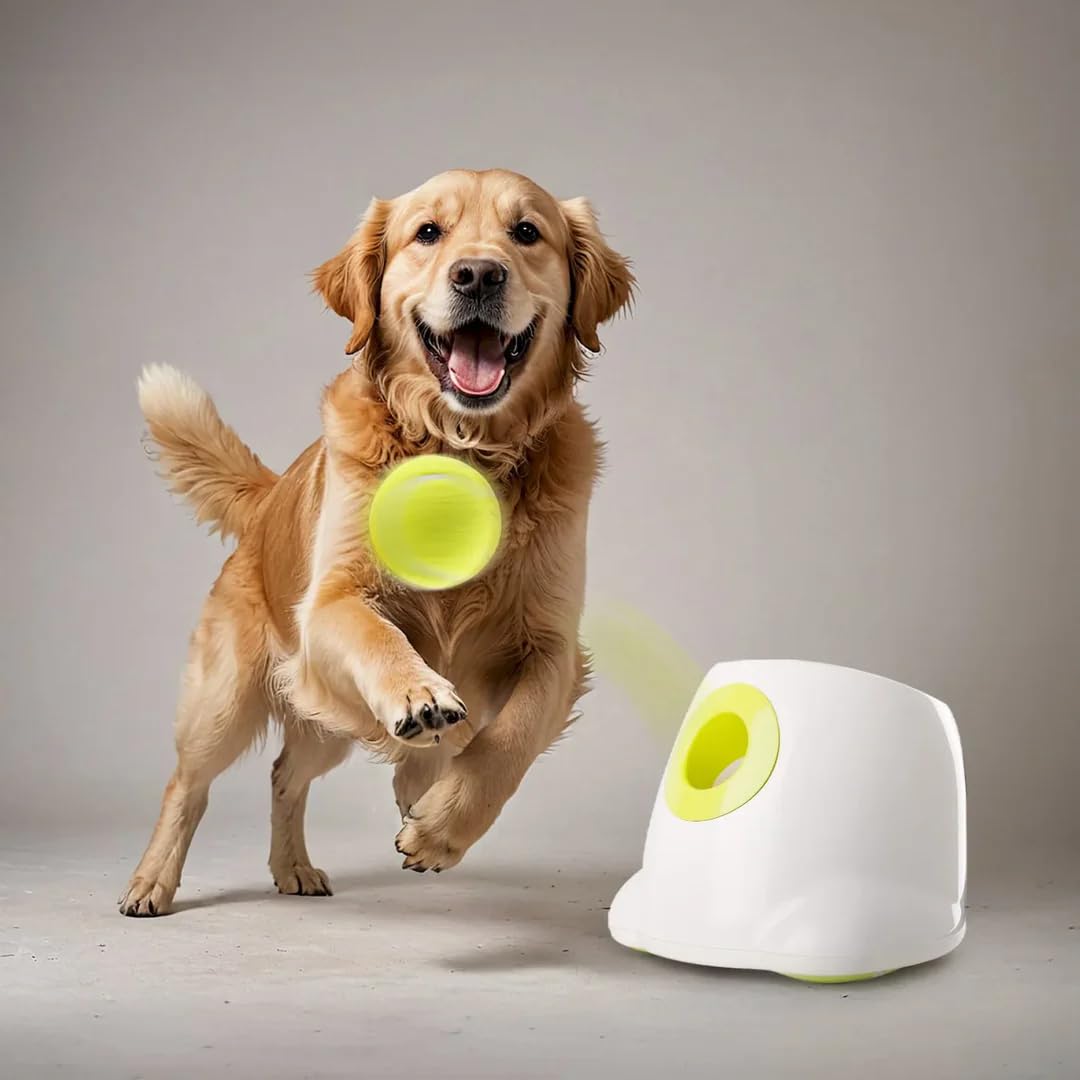 Interactive & Entertaining Automatic Dog Ball Launcher For Medium To Large Dogs, Toy For Dogs, Dog Ball Thrower Machine With Sta