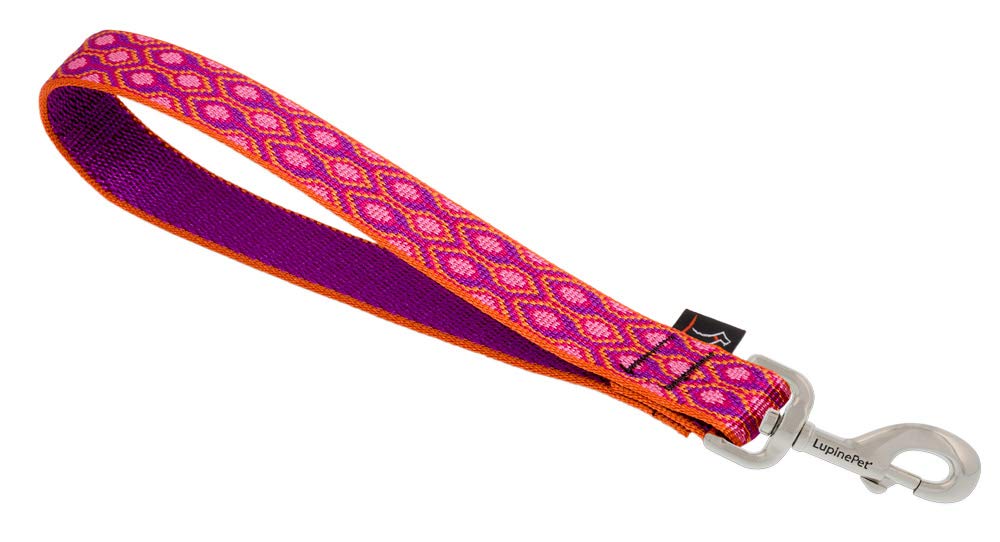 LupinePet Originals 1 Alpen Glow 11 Training Tab/Leash for Medium and Larger Dogs