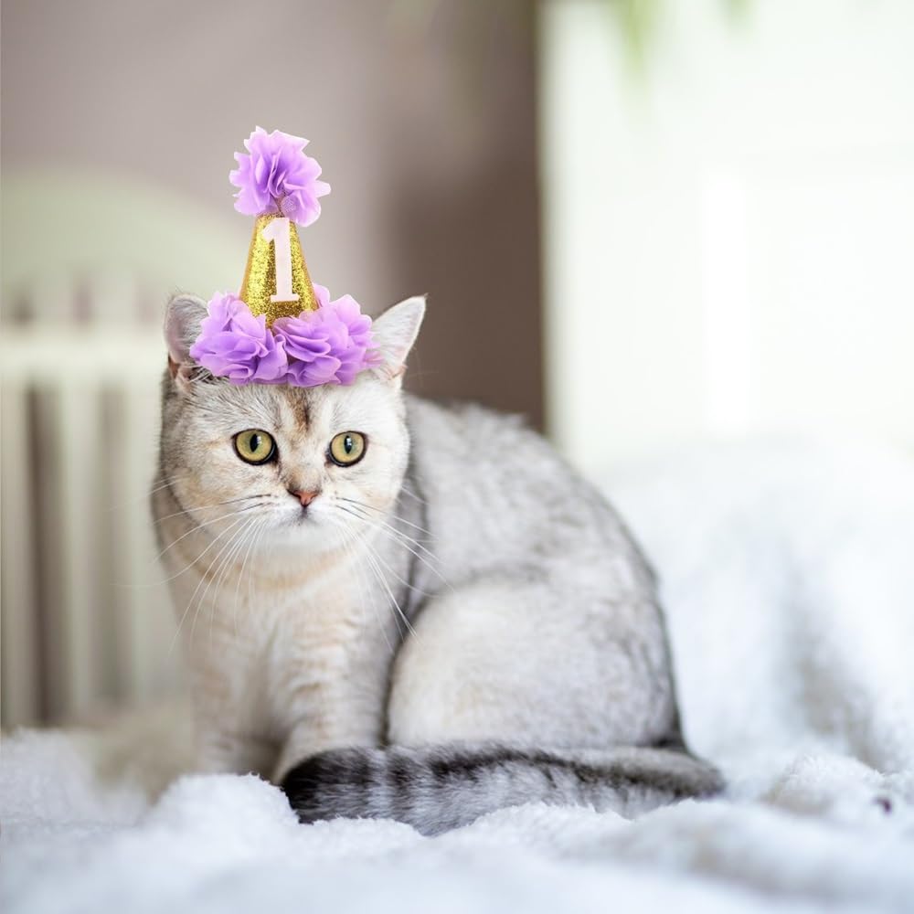 Stock Show 1St Pet Birthday Cone Hat Dogs Cats Holiday Party Hat Headwear Costume With Flowers Accessories And Adjustable Headband For Small Medium Dogs Cats Pets Baby, Purple