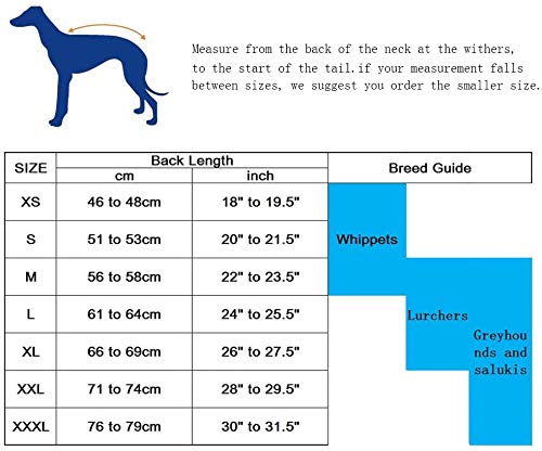 Greyhound Winter Coat, Whippet Coat With Padded Fleece Lining, Water Resistant Dog Jacket With Adjustable Bands And Reflective - Navy - Large