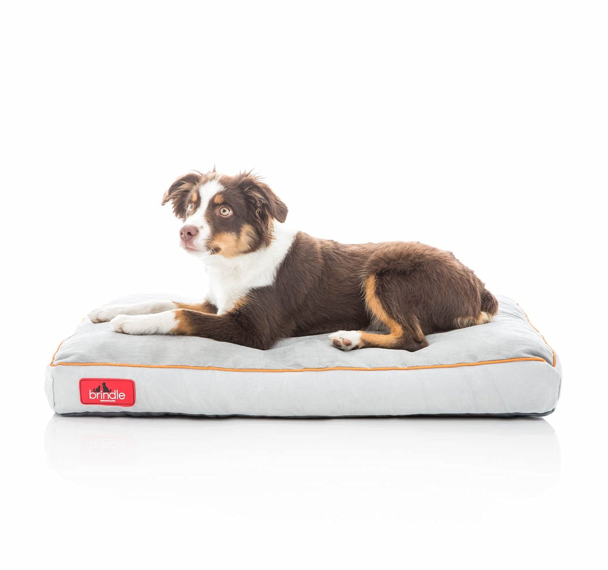 Brindle Shredded Memory Foam Dog Bed With Removable Washable Cover-Plush Orthopedic Pet Bed - 28 X 18 Inches - Stone