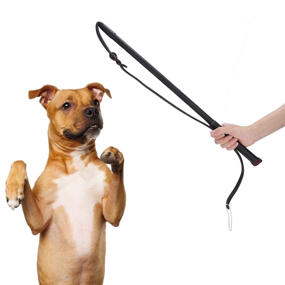 Pssopp Cowhide Dog Agitation Whip Dog Teaser Wand Dog Training Whip Dog Teaser Wand Outdoor Playing For Pulling, Chasing, Chewing, Teasing, Training