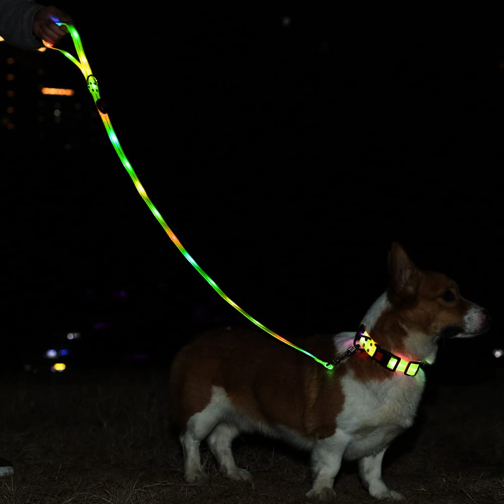 Led Light Up Dog Collar And Leash For Night Time Walking Glow In The Dark Dog Leashes And Collars Set Waterproof Rechargeable