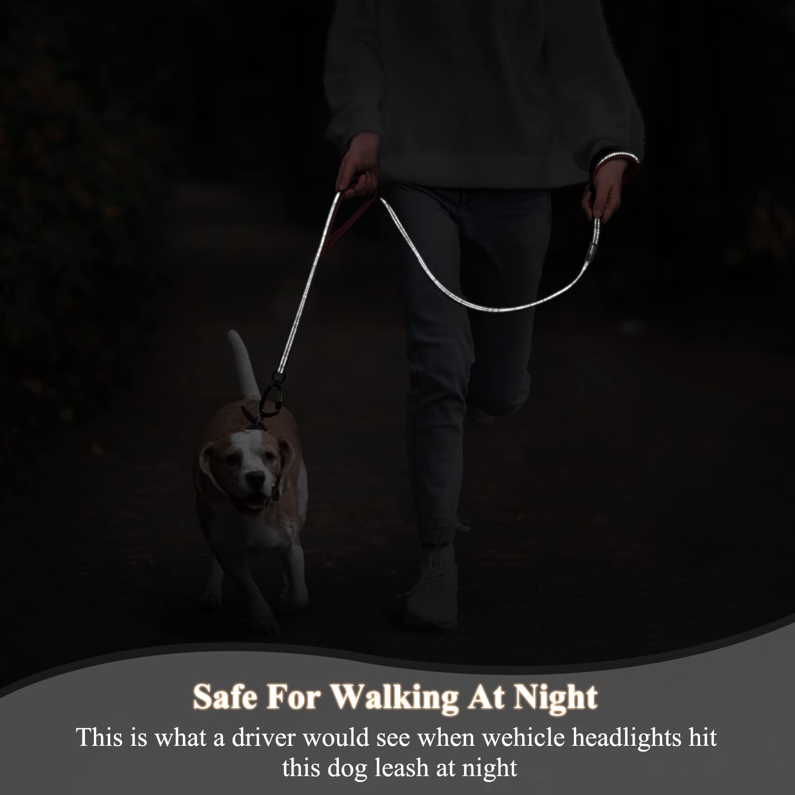 Vivaglory Dog Leash With Lightweight Aluminum Clasp & 2 Padded Handles, 4Ft Nylon Dog Leash Lead Heavy Duty Safety No Pull Climb