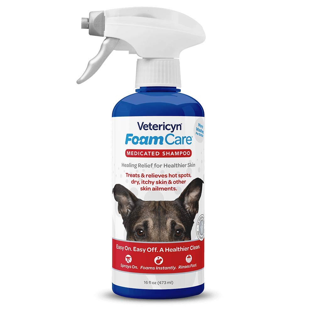 Foamcare Medicated Pet Shampoo By Vetericyn | Sensitive Skin Shampoo For Dogs, Cats, And All Animals - Anti-Itch, Promotes Healt