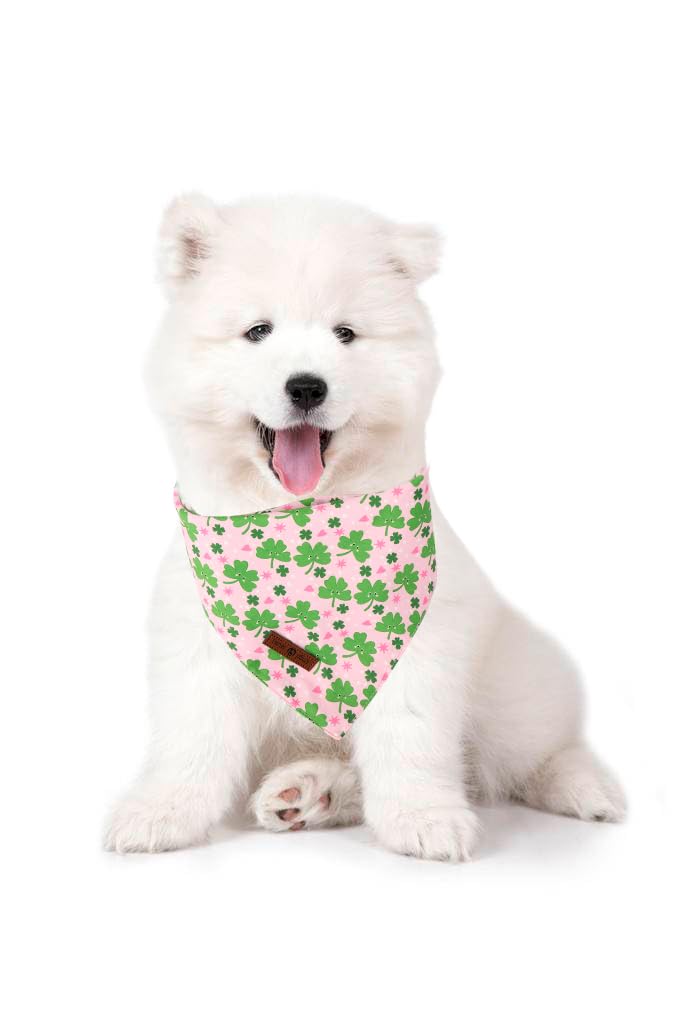 Lionet Paws St. Patrick 2Pcs Dog Bandanas, Green Clover Dog Scarf Bib Premium Fabric, Happy St. Patrick Pink Bandanas For Medium