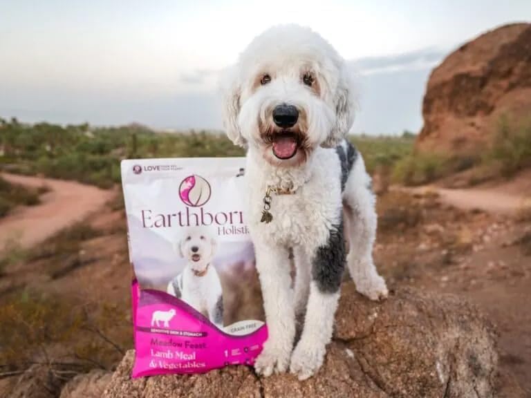 Earthborn Holistic Meadow Feast Lamb Meal & Vegetables Grain Free Dry Dog Food, 4 lb. Bag, for Sensitive Skin & Stomach, Brown