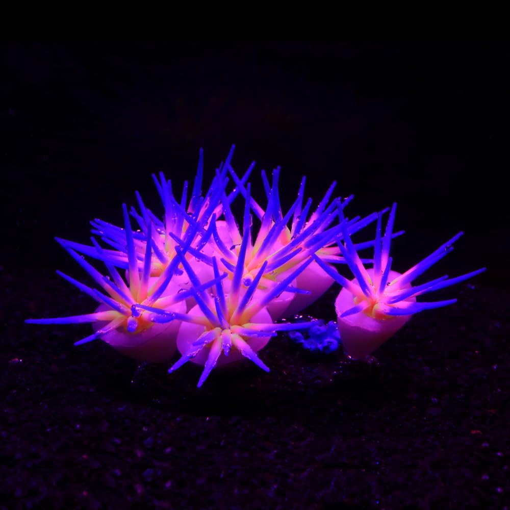ZtohPyo Glowing Effect Soft Coral Aquarium Fish Tank Decorations Silicone Glow Artificial Ornament Coral Reef Plants for Aquariu