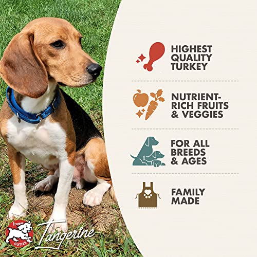 Fromm Four Star Grain Free Dry Dog Food, Game Bird Recipe, 4-Pound Bag