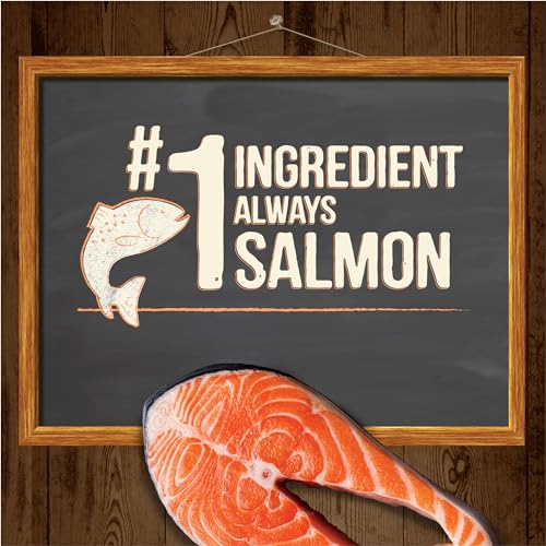 Merrick Power Bites Dog Treats, Real Salmon Recipe - 6 oz. Bag