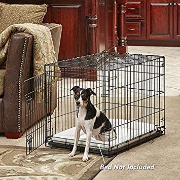Medium Dog Crate | Midwest Life Stages 30' Folding Metal Divider Panel, Floor Protecting Feet, Plastic Tray 30L X 19W 21H Inches, Breed