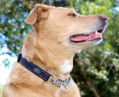 Reflective Nylon Choke Collar; Slip Show Obedience Training Gentle Choker For Extra Large Dogs, Red