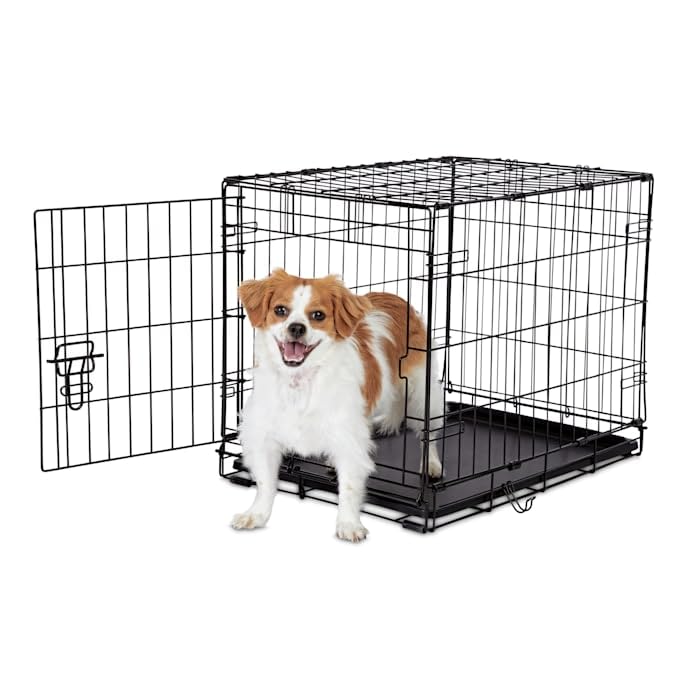 Everyyay Essentials 1-Door Folding Dog Crate, 24.5' L X 17.5' W X 19.5' H