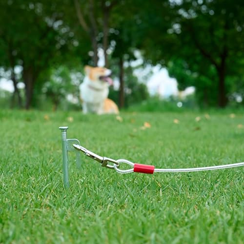 Amazon Basics Tie-Out Cable For Dogs Up To 90 Lbs, 25 Feet, White