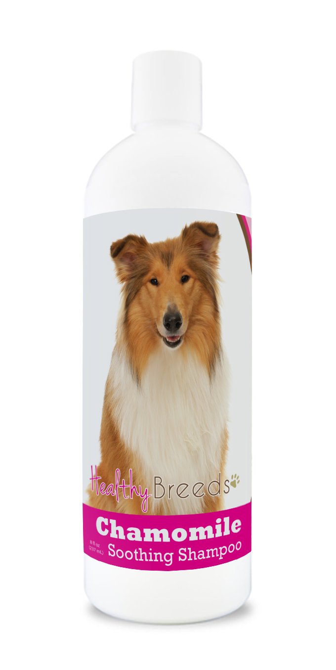 Healthy Breeds Collie Chamomile Soothing Dog Shampoo 8 oz