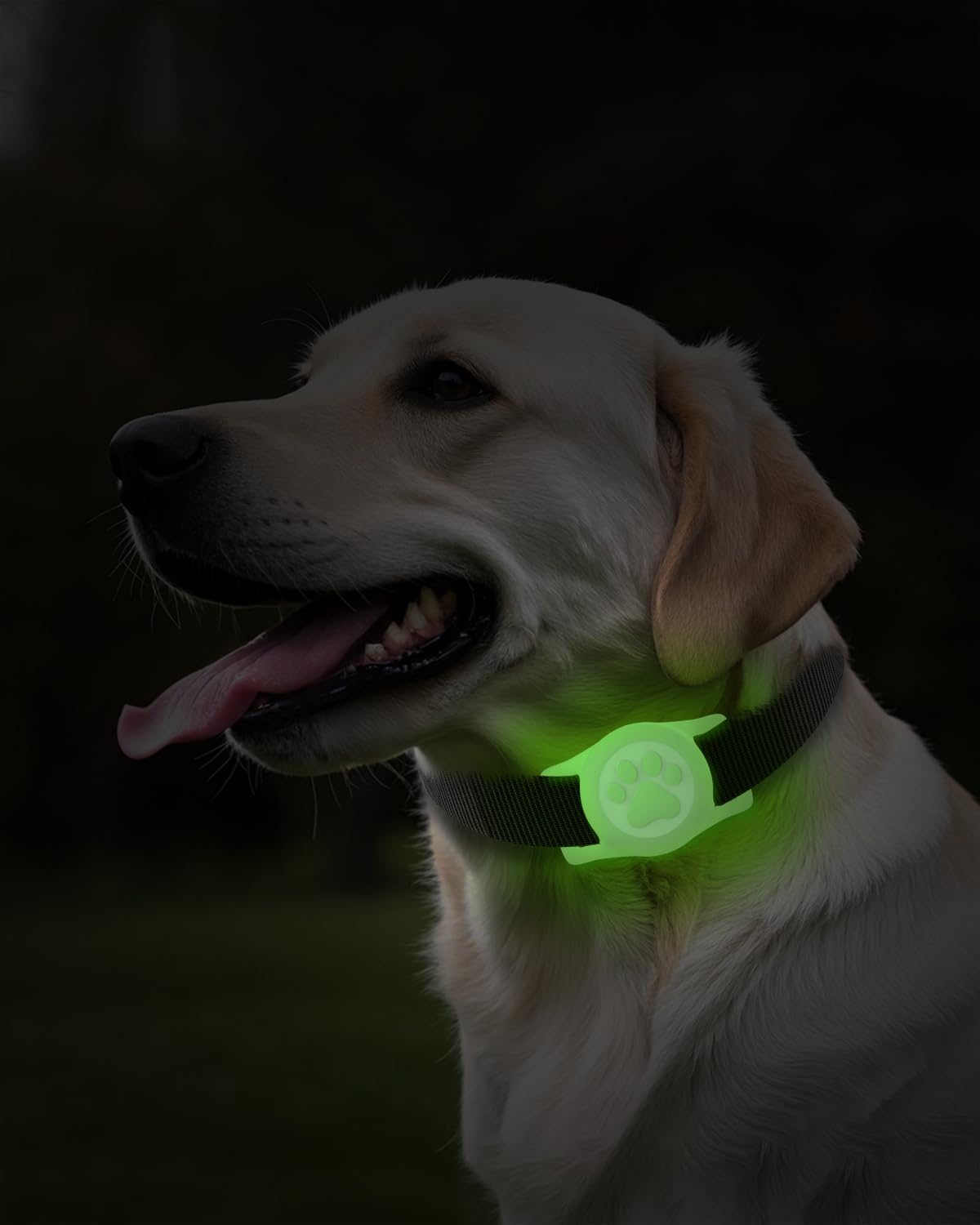 Whoseid Ip68 Waterpoof Dog Airtag Holder, Stretchy Silicone Full Body Covered Apple Air Tag Holder For Dog Cat Collar Fit All Wi