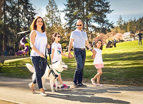 Rc Pets Tempo No Pull Dog Harness, X-Large, Heather Teal