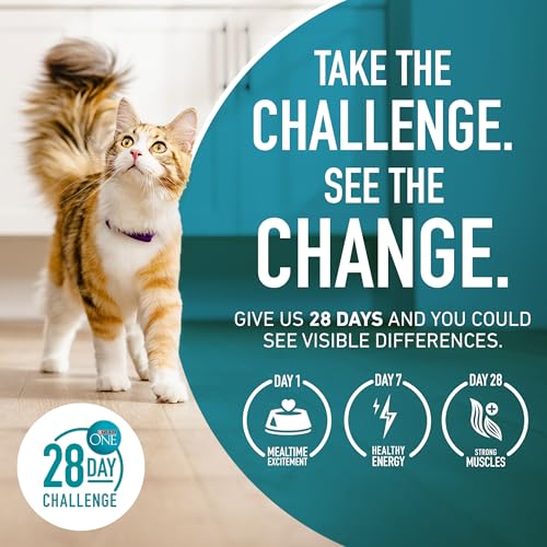 Purina ONE High Protein, Natural Dry Kitten Food, +Plus Healthy Kitten Formula - 3.5 lb. Bag