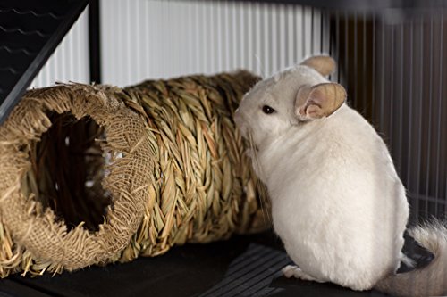 Prevue Pet Products 2 Pack Of Nature'S Hideaway Grass Tunnels, Medium, For Guinea Pigs Dwarf Rabbits And Ferret