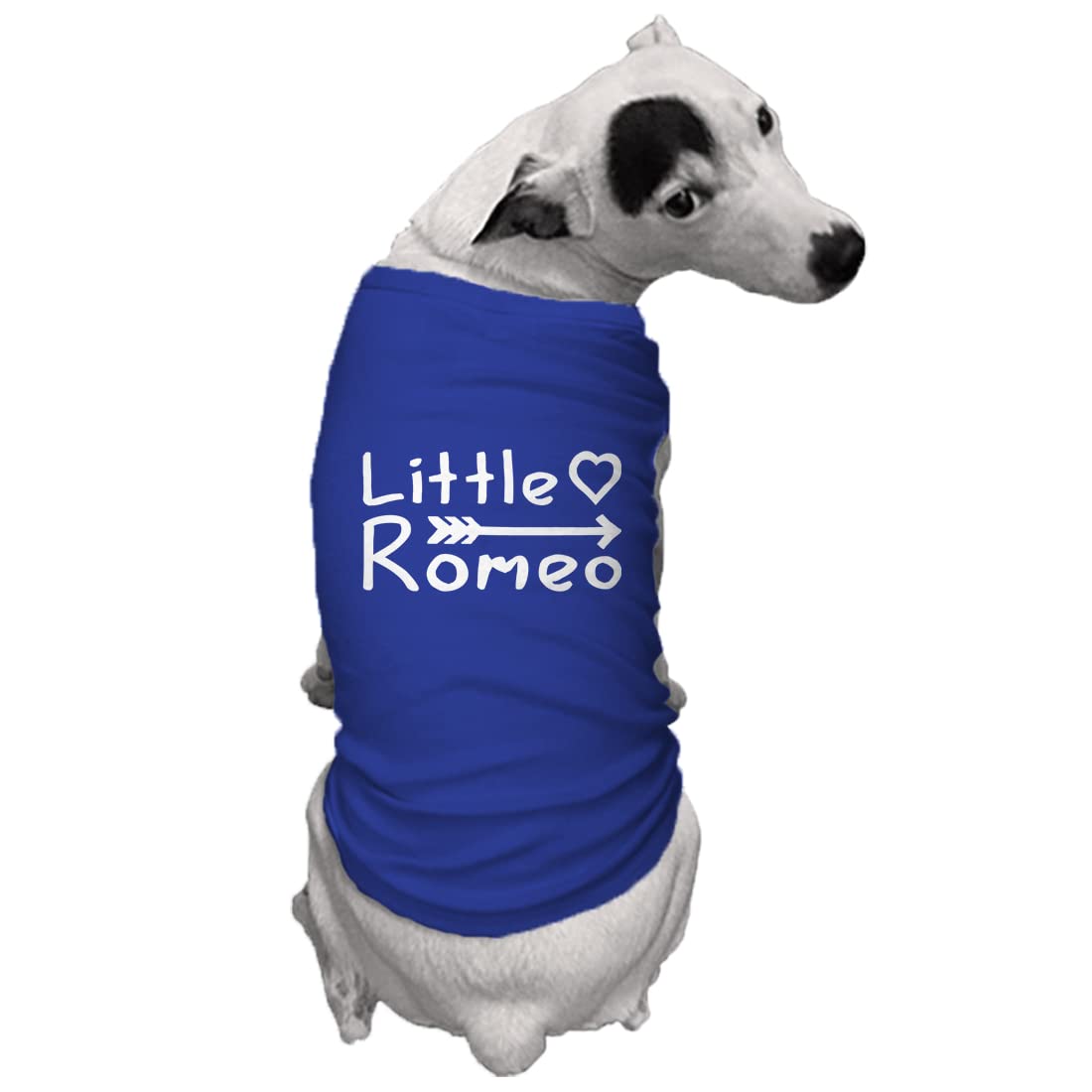 Little Romeo - Stud Handsome Cute Juliet Love Dog Shirt (Royal Blue, X-Small)